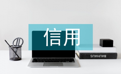 保險業信用缺失研究