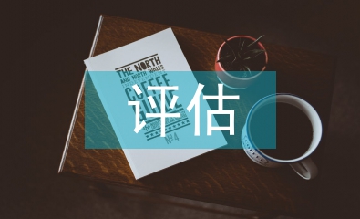 無形資產損失評估