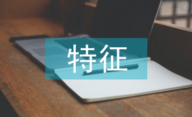 人物形象的特征