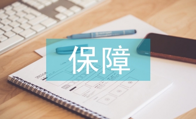 網絡經濟下人力資源保障研究