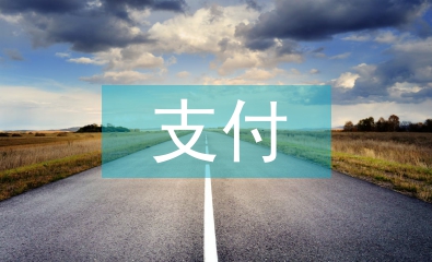 第三方支付的風險分析