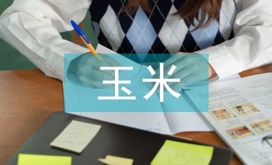 論玉米規(guī)模化種植與機(jī)械技術(shù)融合