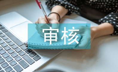 審核崗位實習個人總結(jié)