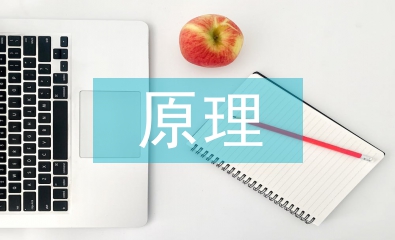 教育學原理小論文