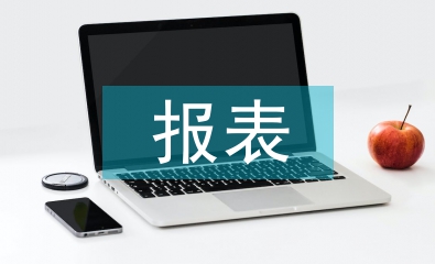 財務分析報表論文