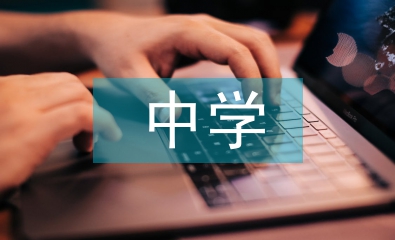 中學數學論文