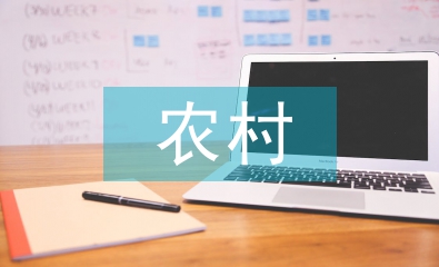 農(nóng)村財(cái)務(wù)論文